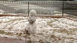 D.C. Dodges Worst of Winter Storm