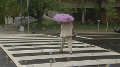 New Pedestrian Signal Gets Mixed Reviews in Chevy Chase