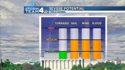 Race for the Cure Forecast