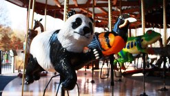 Carousel Opens at National Zoo
