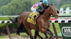 Orb, Oxbow Face Off in Triple Crown Finale