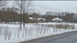Snow Day in Northern Virginia