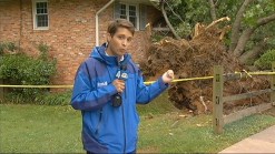 Fallen Tree Damages Home in Arlington