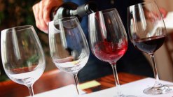 Maturing Virginia Wine Industry Bearing Fruit