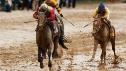 Orb Impresses with Workout at Belmont