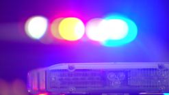 DC Protective Services Police Dept. Chief Fired