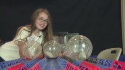 Gerbils Strut Their Stuff in Annual Pageant