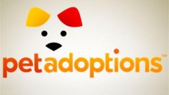 Pet Adoptions: Dandelion