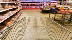 Bloom, Bottom Dollar Food Store Closings