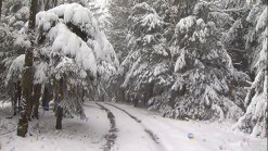 Finally a Taste of Winter - in Spring