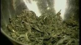 D.C. Announces Medical Marijuana Dispensary Locations