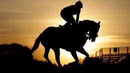 At Preakness, Orb Aims for Shot at History