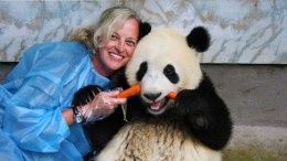 Panda Fanatics Take Trip to China