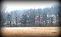 [UGCDC-CJ-weather]A Snowy Weekend in New Baltimore VA