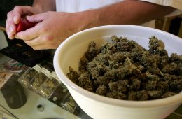 Medical Marijuana