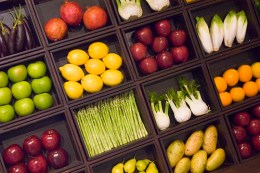 The Vegan Myth?