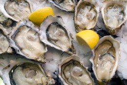 Shucks! Beer & Oyster Fest This Weekend