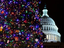 Capitol Christmas Tree Lighting Tonight