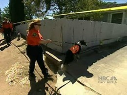 No Evidence Found Linking Garridos to Unsolved Murders
