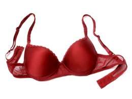A Lack of Support for Bra-Wearing Jail Visitors