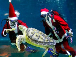 Weird News Photos