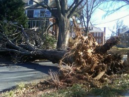 Beware the Wind!