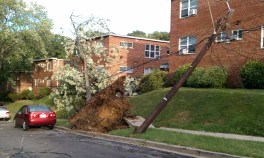 D.C. Area Recovering From Sunday's Storms