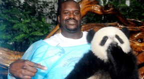 Shaq, Pandas Get Acquainted in China