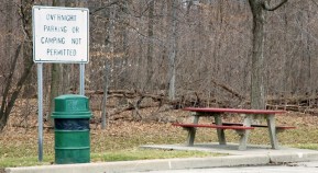 Stretch Your Legs in Virginia