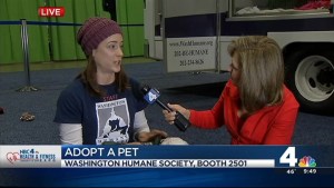 Help Clear the Shelters at the Health & Fitness Expo