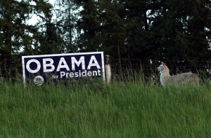 With the election over, it's time to recycle campaign signs.