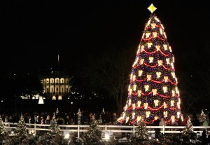The National Christmas Tree is lit during the lighting ceremony at the Ellipse, south of the White House, December 6, 2007 in Washington, DC. Lighting the National Christmas Tree is an annual traditio