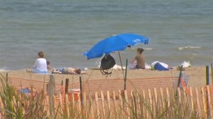 On The Road To The Beach - Delaware Beaches