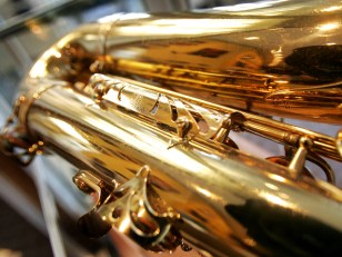 Silver Spring Music Venue Has Sprung