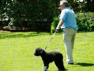 Minding Bo