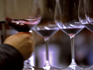 Rejoice: Grape Glut Sends Wine Prices Down