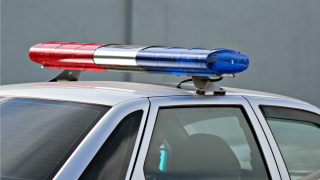 Women Chase Down Man Who Stole Purses