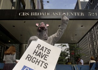 Vermin Come First in D.C.