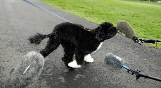 Presidential Pets