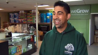 Marijuana Growers' Supply Store Opens