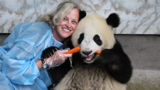 D.C. Locals Swing by China for Tai Shan
