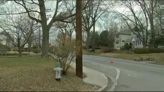 Windy Weather Woes