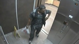 Sex Assault Arrest