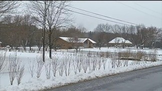 Snow Day in Northern Virginia