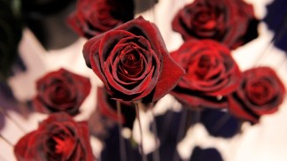 Oscars Sneak Peek: Governor's Ball Flowers