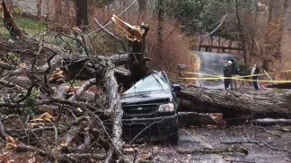 Trees Rip Through Home, SUV