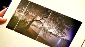 "City of Trees" Exhibit at Vastu