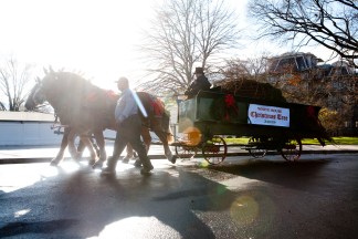 First Lady Receives White House Christmas Tree