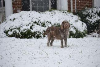 Remember Snow in October (2011)?