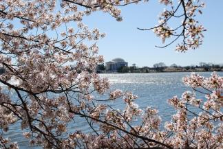 Govt. Shutdown Could Impact Local Weekend Events